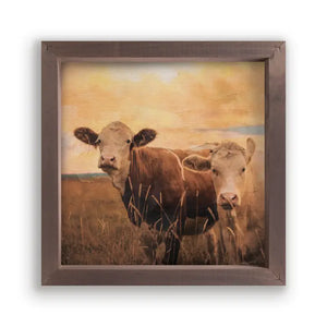 Two Cows Framed Print (Pickup Only)