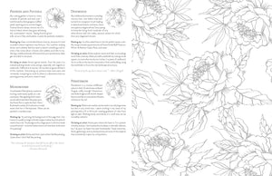 Kristy's Summer Cutting Garden: A Watercoloring Book