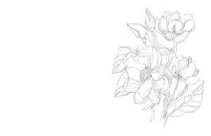 Kristy's Spring Cutting Garden: A Watercoloring Book