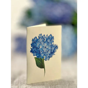 Freshcut Paper Pop Up Greeting Cards