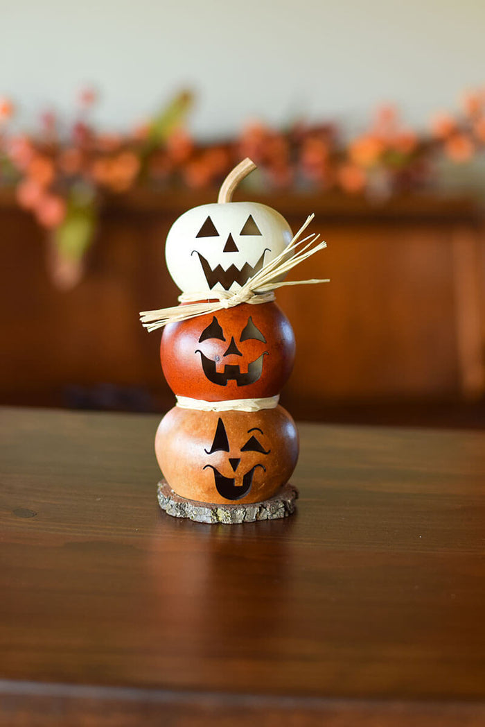 Tiny Jack Stack- Meadowbrooke Gourd