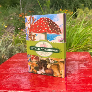 Mushroom Little Book Set
