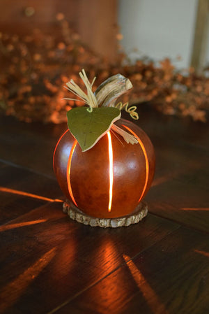 Pumpkin Luminary -Meadowbrooke Gourd