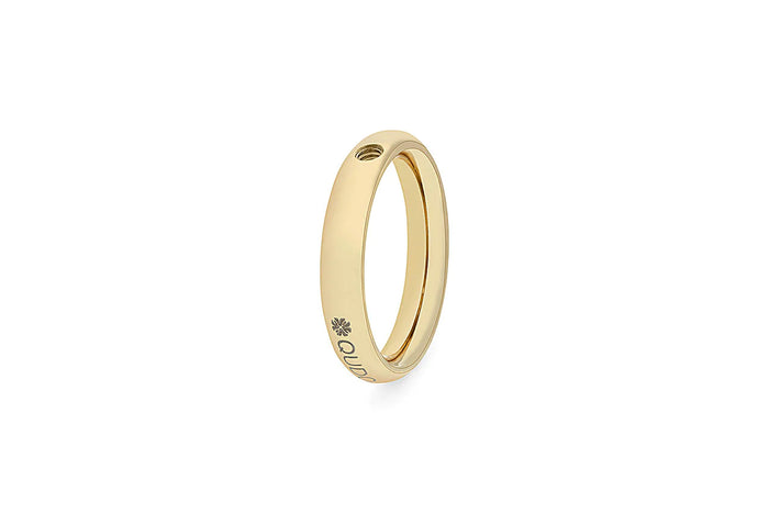 Qudo Ring Basic Small Band (Silver & Gold)