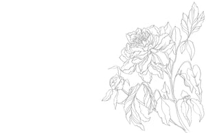 Kristy's Spring Cutting Garden: A Watercoloring Book