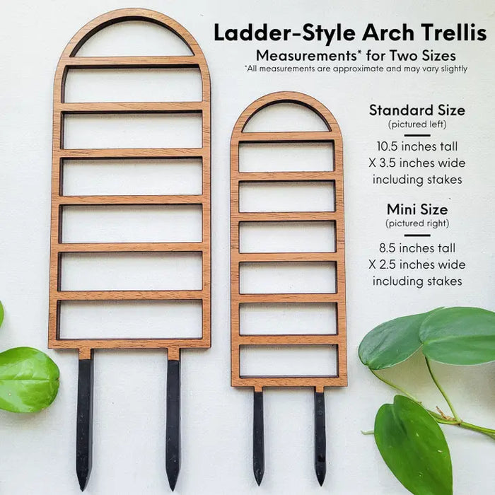 Ladder Trellis