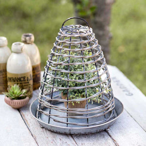 Bee Skep Wire Cloche with Base