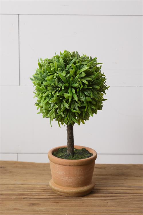 Small Terra Cotta Pot Topiary