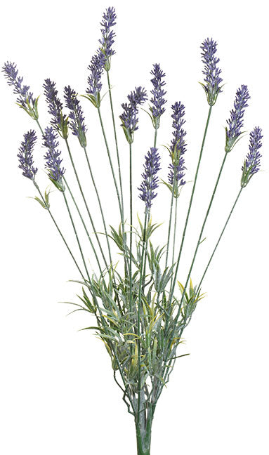 Lavender Bush 24"