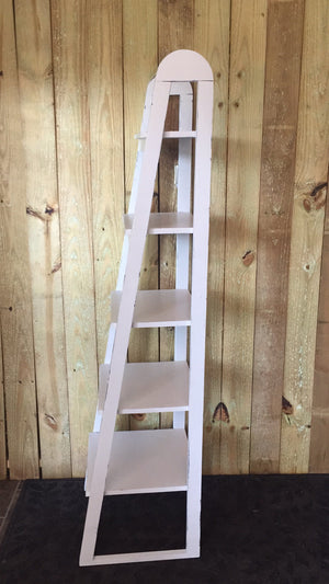 5 Shelf Ladder